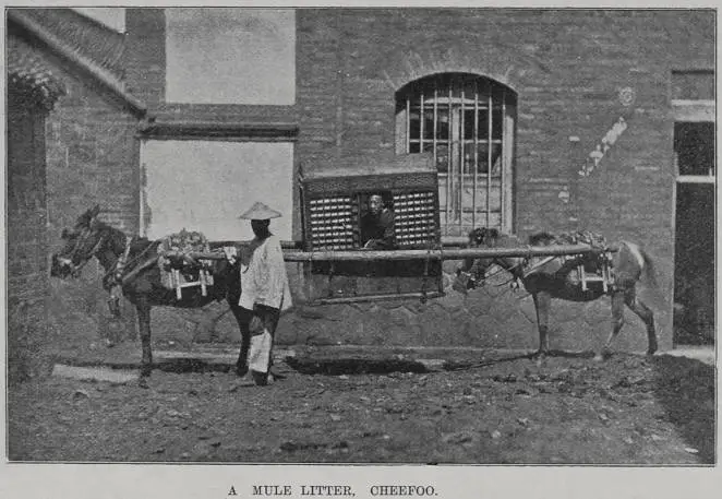 A mule litter, Cheefoo