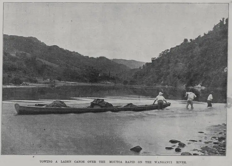 Towing a laden canoe over the Moutoa rapid on the Wanganui river