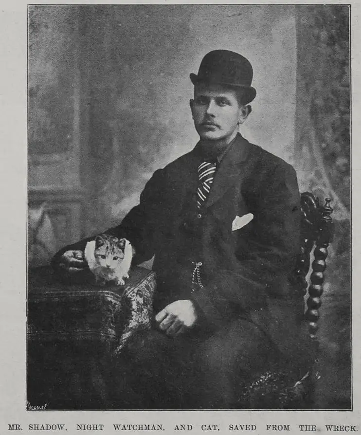 Mr Shadow, night watchman and cat, saved from the wreck