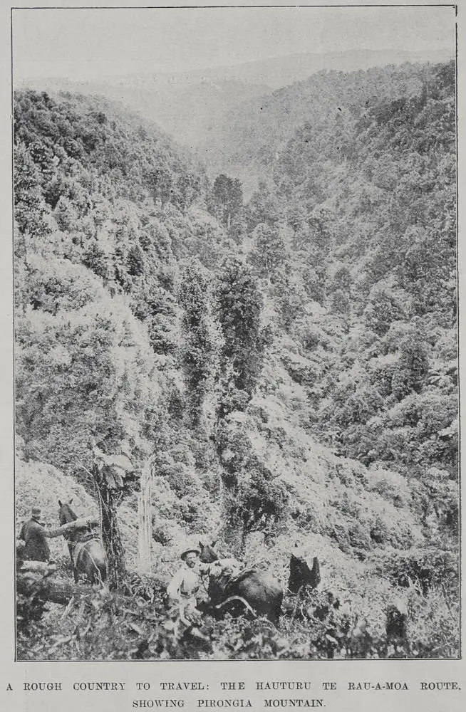 A rough country to travel: the Hauturu Te Rau-A-Moa route with Pirongia mountain