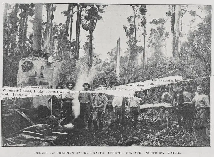 Group of bushmen in Kahikatea Forest, Aratapu, Northern Wairoa