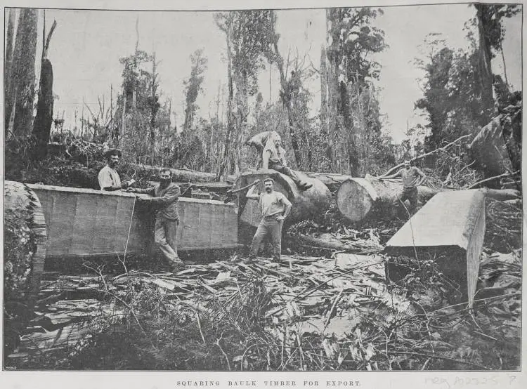 Squaring baulk timber for export