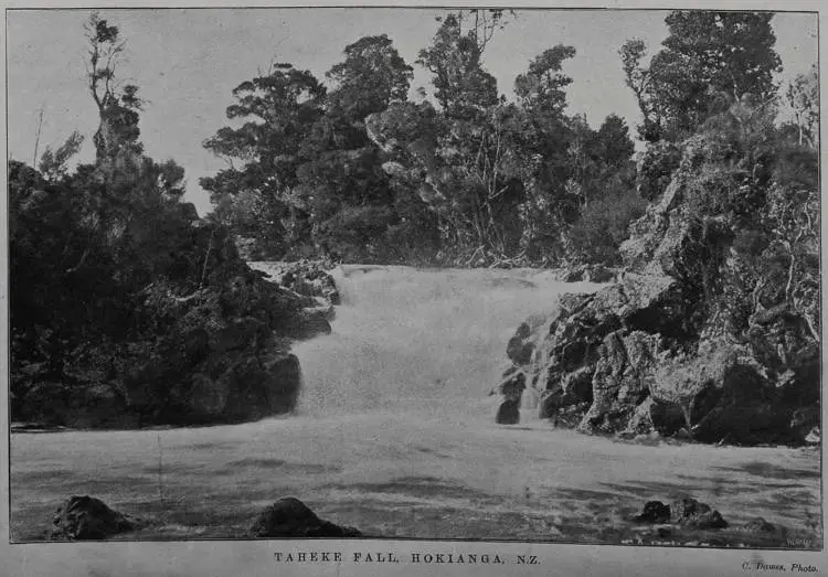 Taheke Fall, Hokianga, N.Z.