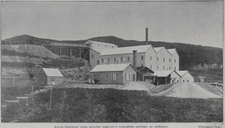 Kauri Freehold Gold Estates Company's 40-Stamper battery at Opitonui