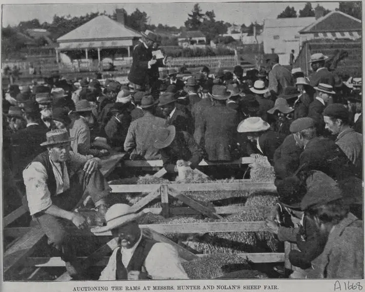 Auctioning the rams at Messrs Hunter and Nolan's sheep fair