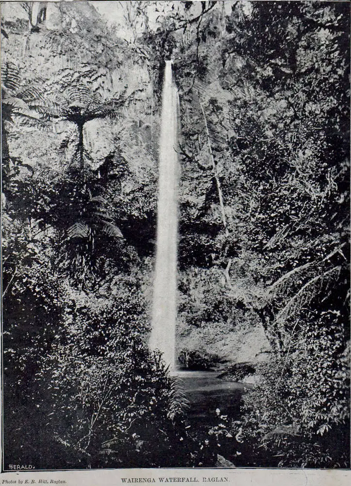 Wairenga Waterfall, Raglan