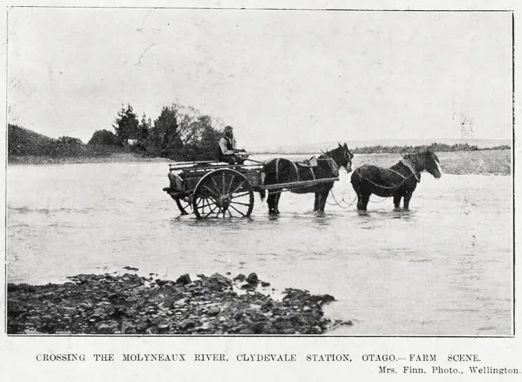 Crossing the Molyneux River, Clydevale Station, Otago-farm scene