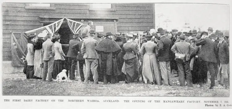 The opening of the Mangawhare dairy factory, 7 November 1902, the first dairy factory on the Northern Wairoa