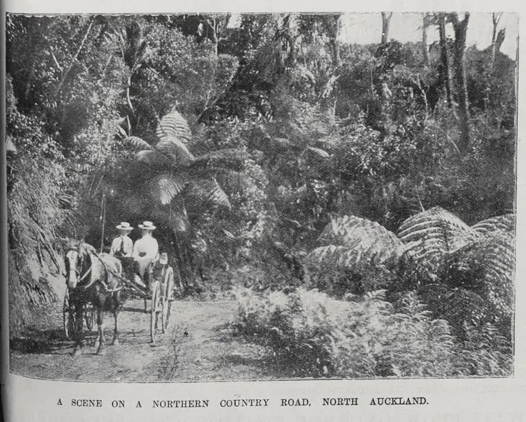 Two women in a horse and cart on a country road, Northland