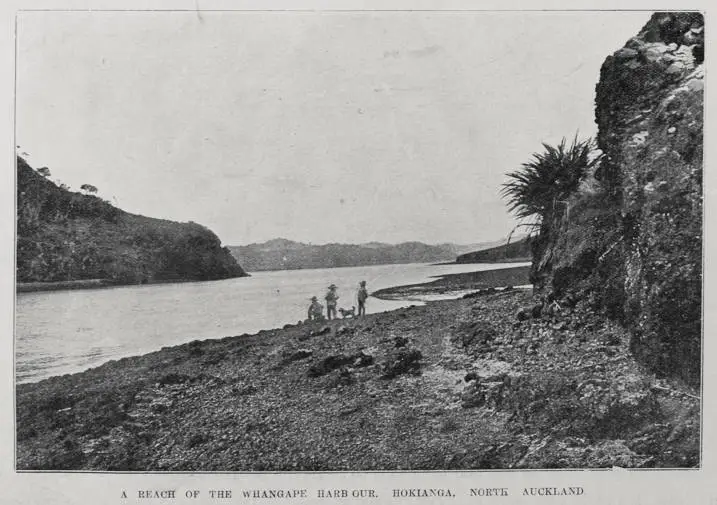 Whangape harbour in the Hokianga