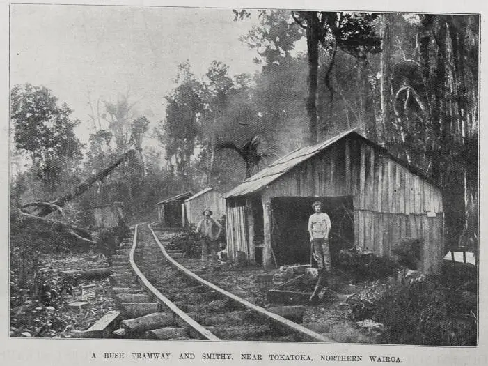 A bush tramway and smithy near Tokatoka, Northern Wairoa