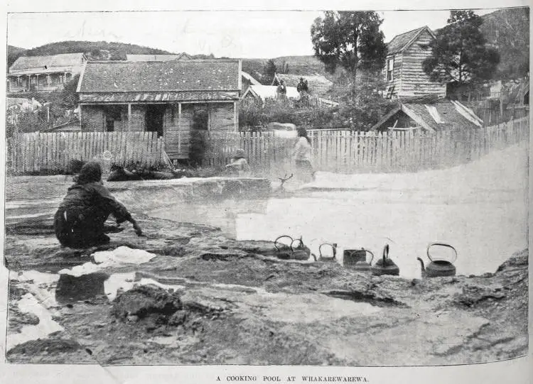 A cooking pool at Whakarewarewa