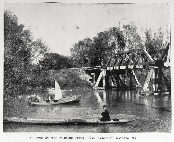 A scene on the Waikare Creek near Rangiriri, Waikato