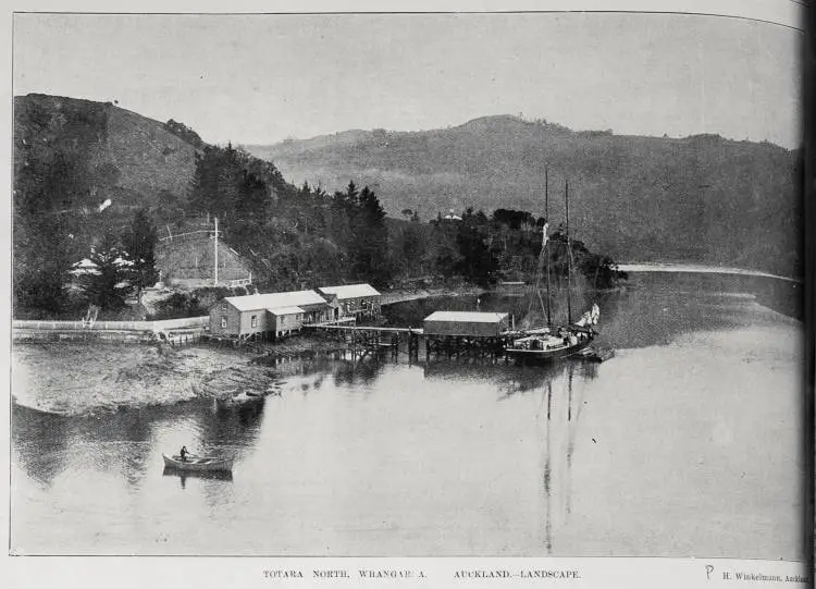 Totara North, Whangaroa, landscape