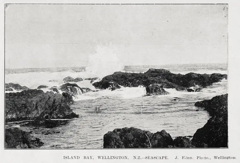 Island Bay, Wellington, seascape