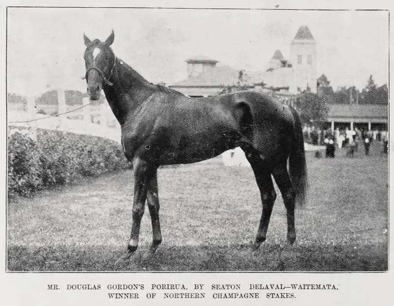 Mr Douglas Gordon's horse 'Porirua' by Seaton Delaval-Waitemata, winner of the Northern Champagne stakes
