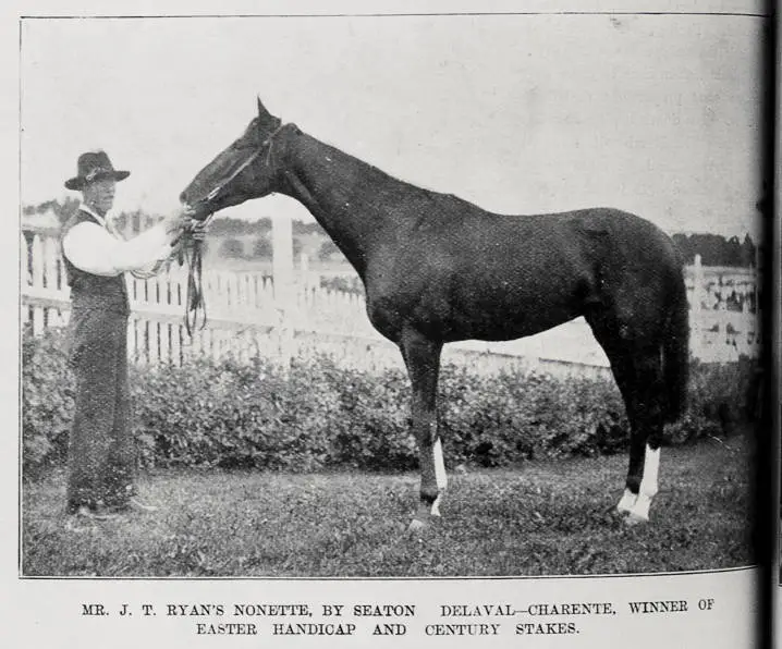 Mr J T Ryan's horse 'Nonette' by Seaton Delaval-Charente, winner of the Easter Handicap and Century Stakes