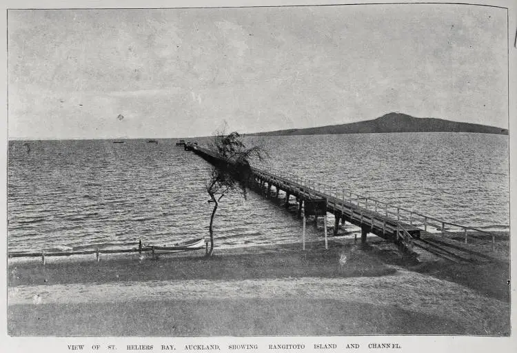 View of St Heliers bay, Auckland showing Rangitoto Island and channel