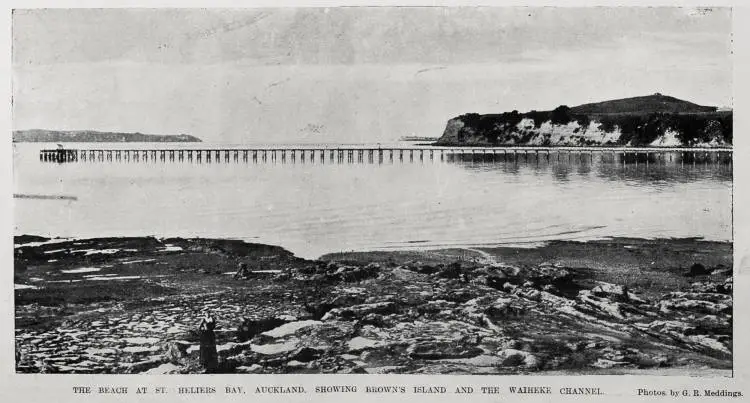 St Heliers beach showing the Waiheke channel