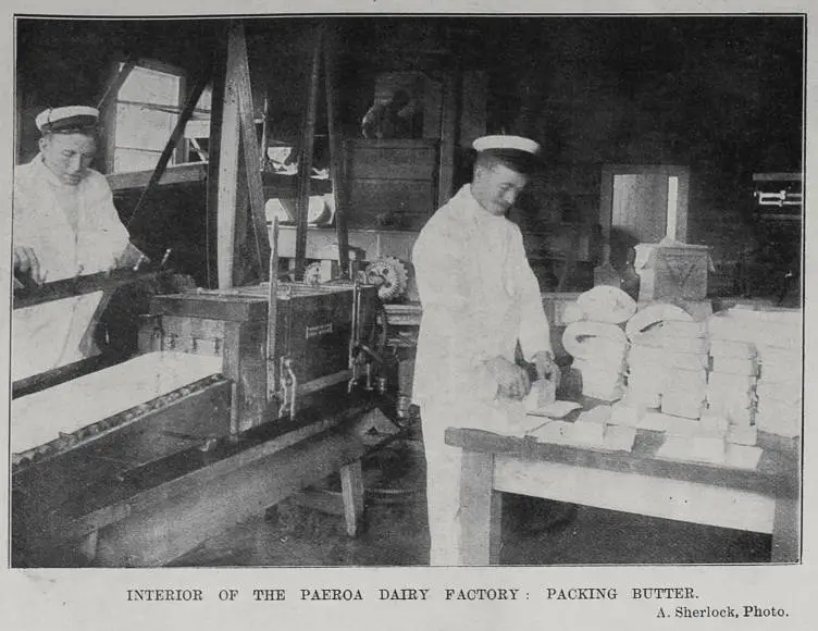 Interior of the Paeroa Dairy Factory: Packing butter