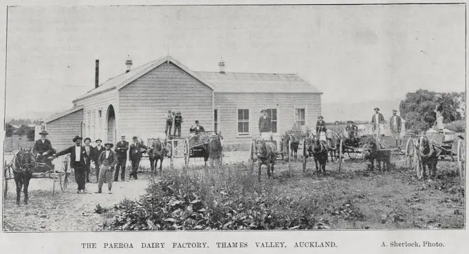 The Paeroa Dairy Factory, Thames Valley, Auckland