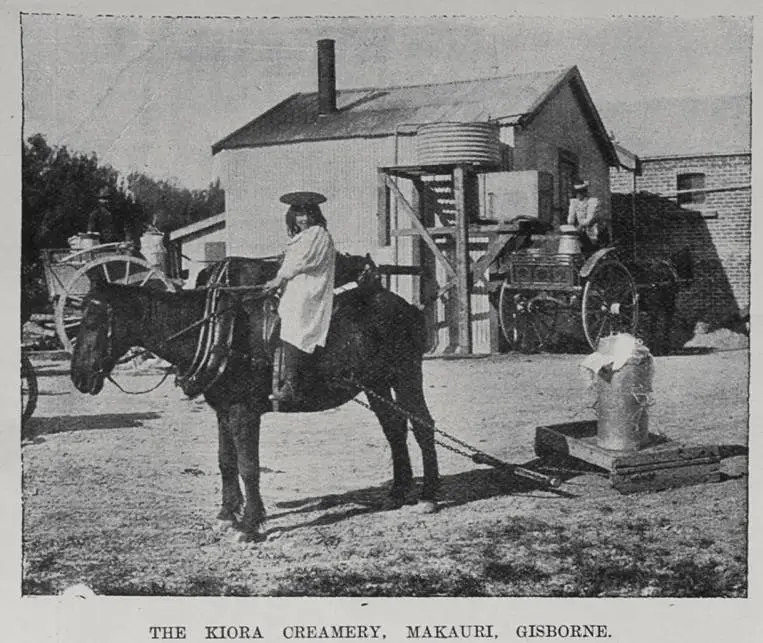 The Kiora creamery, Makauri, Gisborne