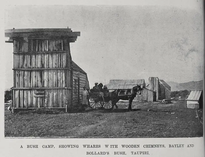 A bush camp, showing whares with wooden chimneys, Bayley and Bollard's bush, Taupiri