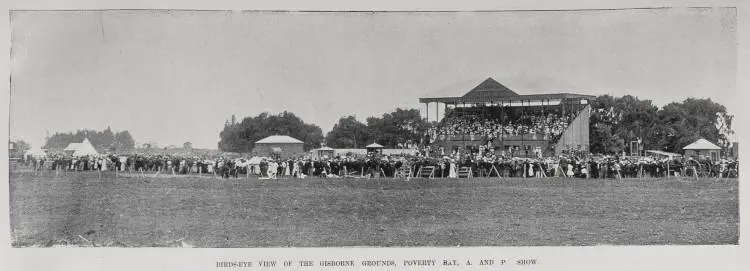 The Poverty Bay A. and P. Society's Show Gisborne, October 22nd and 23rd, 1901