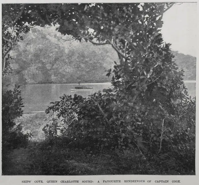 Ships' cove, Queen Charlotte Sound: A favourite rendezvous of Captain Cook