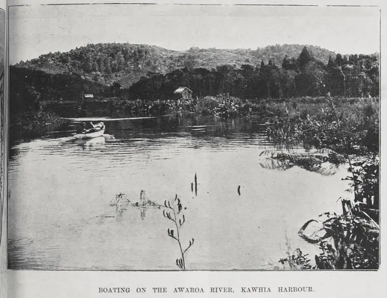 Boating on the Awaroa River, Kawhia Harbour