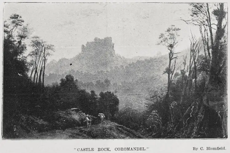 'Castle Rock, Coromandel'