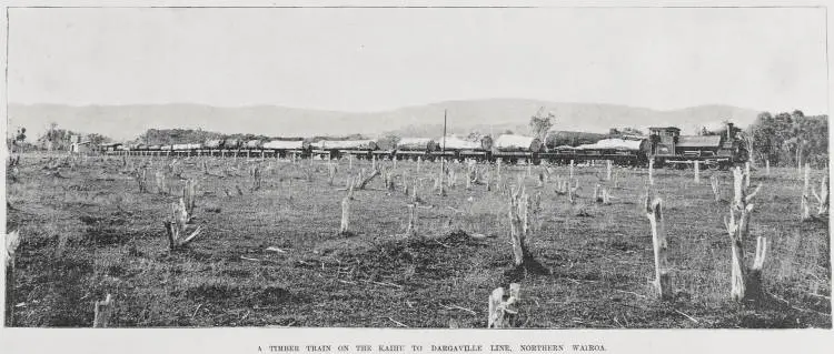 An important timber centre: Scenes in the Northern Wairoa district, Auckland province