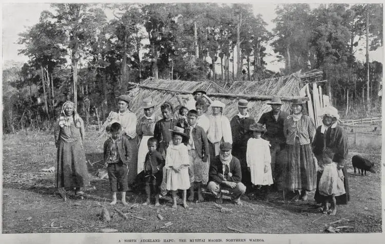 A North Auckland Hapu: The Mititai Maoris, Northern Wairoa