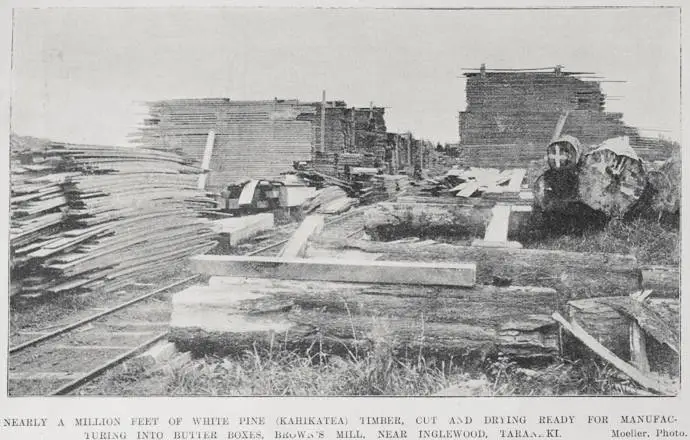 Nearly a million feet of white pine (Kahikatea) Timber, cut and drying ready for manufacturing into butter boxes, Brown's Mill, near Inglewood, Taranaki