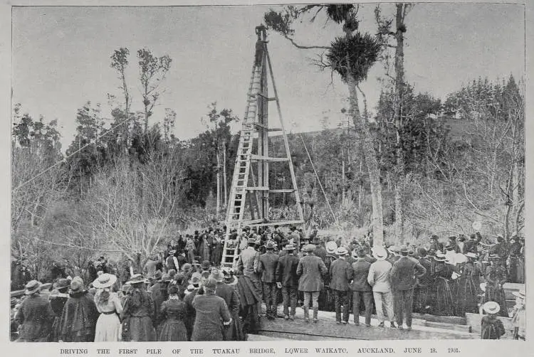 Driving the first pile of the Tuakau Bridge, lower Waikato, Auckland, June 18, 1901