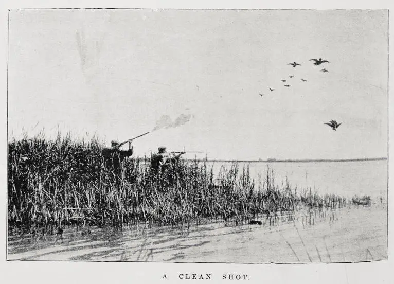 The Opening of the shooting season, May 1, 1901