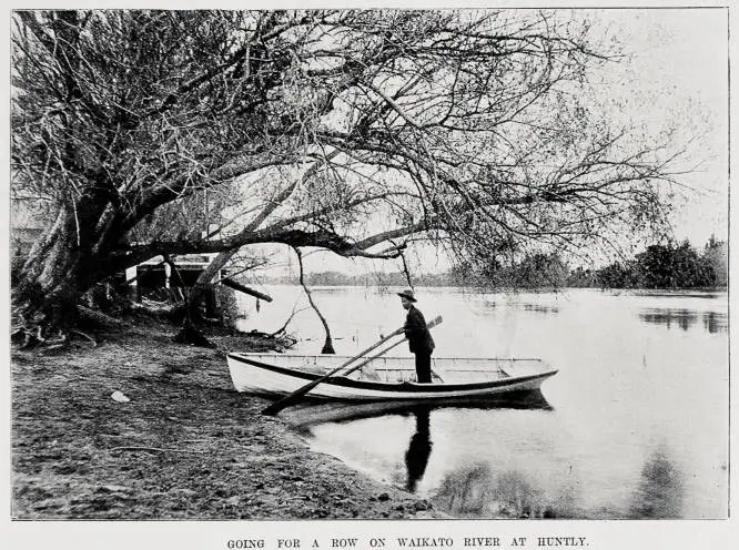 Going for a row on Waikato River at Huntly