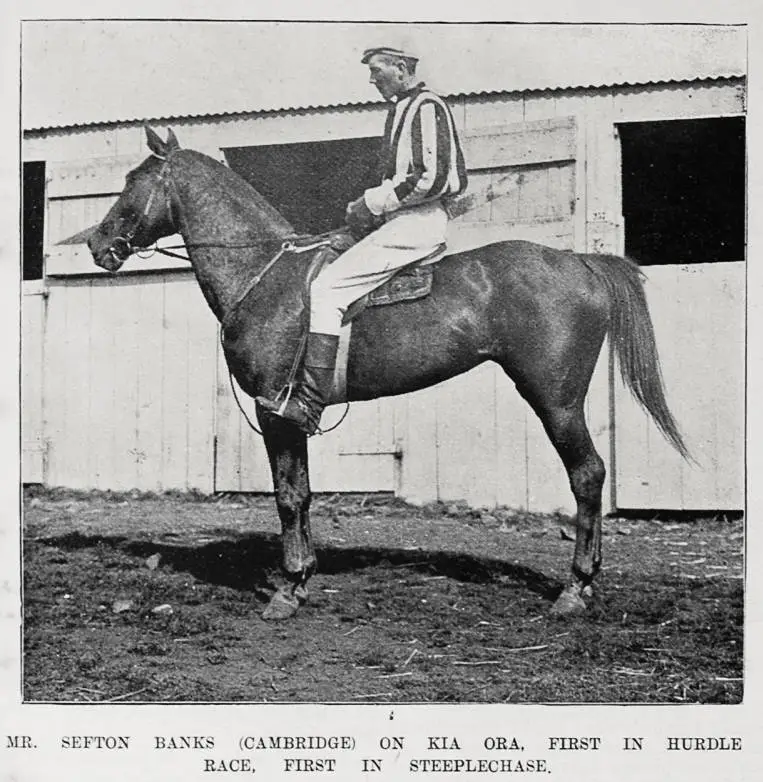 Mr Sefton Banks (Cambridge) on Kia Ora, first in hurdle race, first in Steeplechase