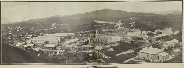 AUCKLAND'S GOLD MINING INDUSTRY: A GENERAL VIEW OF THE WAIHI GOLD MINING COMTAMP BATTERY AND CYANIDE PLANT AT WAIKINO
