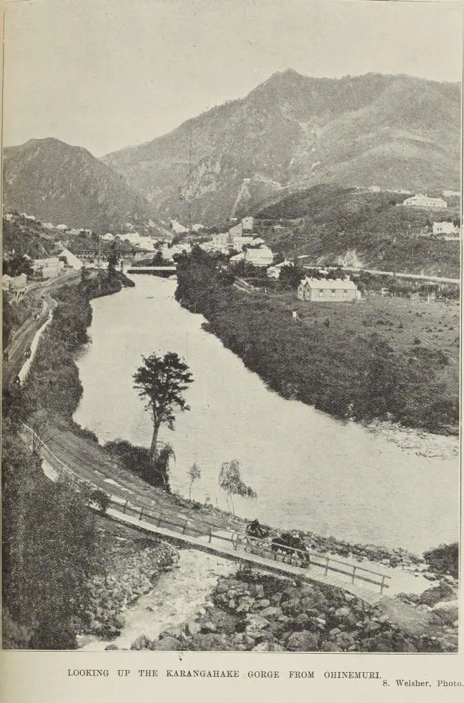Looking up the Karangahake Gorge from Ohinemuri