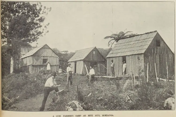 A gum farmer's camp at Miti Miti, Hokianga