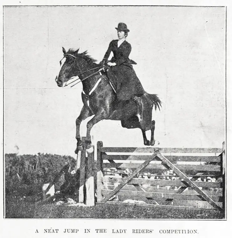 A neat jump in the lady riders' competition