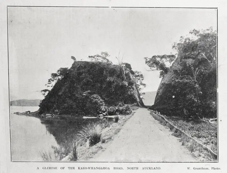 A glimpse of the Kaeo-Whangaroa road, North Auckland