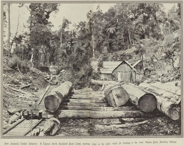 New Zealand's Timber Industry: A typical North Auckland bush camp, Waima Bush, Northern Wairoa