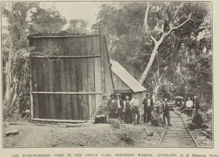 The bush-workers' camp in the Omana Bush, Northern Wairoa, Auckland