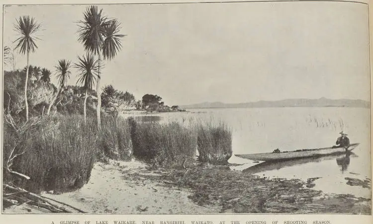 A glimpse of Lake Waikare, near Rangiriri, Waikato, at the opening of shooting season