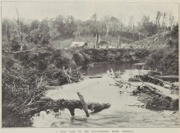 A bush farm on the Mangatainoka River, Pahiatua