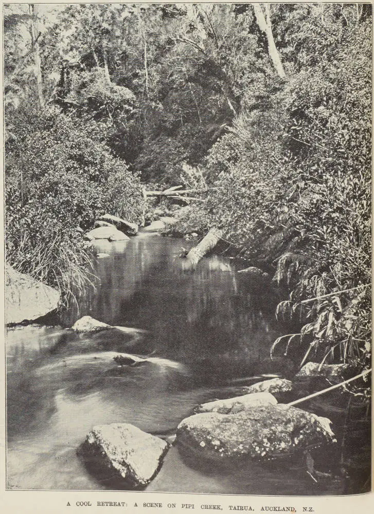A cool retreat: a scene on Pipi Creek, Tairua, Auckland, N.Z.
