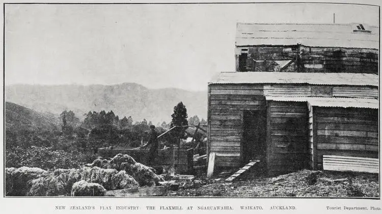 NEW ZEALAND'S FLAX INDUSTRY: THE FLAXMILL AT NGARUAWAHIA, WAIKATO, AUCKLAND