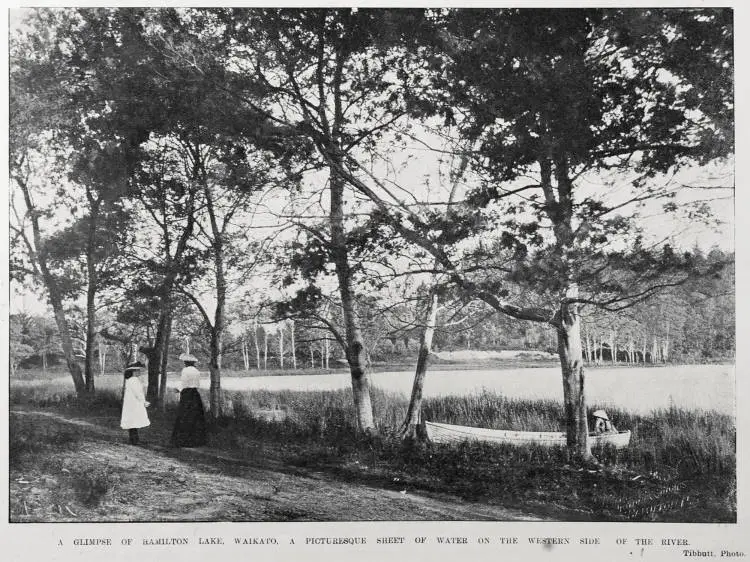 A GLIMPSE OF HAMILTON LAKE, WAIKATO, A PICTURESQUE SHEET OF WATER ON THE WESTERN SIDE OF THE RIVER